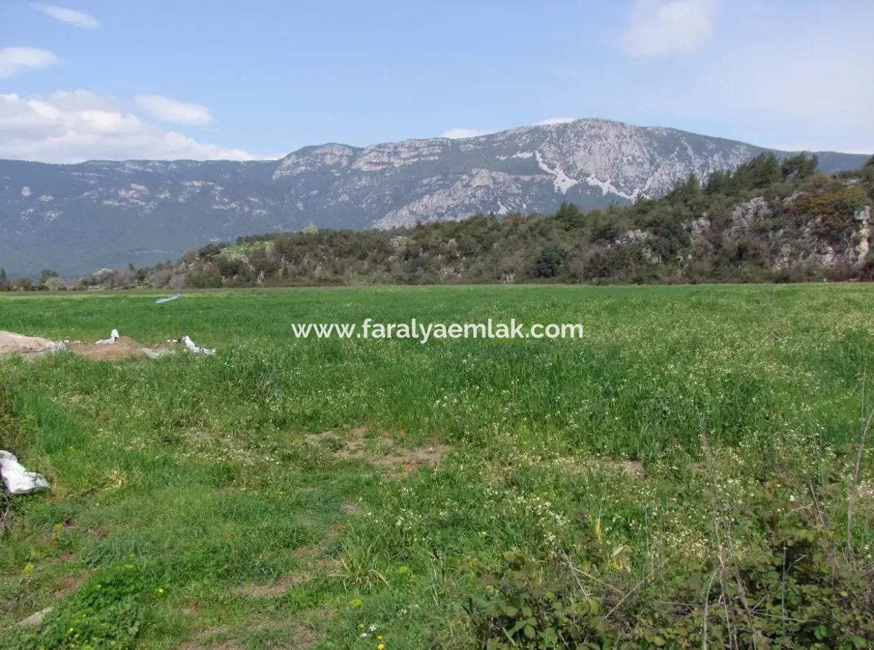 In Akyaka Zum Verkauf: Grundstück Zum Verkauf Bauernhof Zum Verkauf Einer Farm In Der Nähe Vom Meer, In Ars, Yatirimlik 21625M2