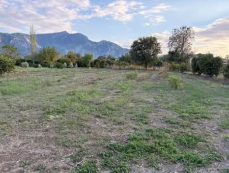 7.450M2 Land Zum Verkauf In Der Nähe Des Zentrums Von Dalyan