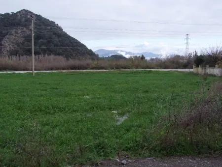 Gulpinar Dalyan Dalyan Zum Verkauf In 1002M2 Grundstück Für Verkauf Zum Verkauf Eckstein