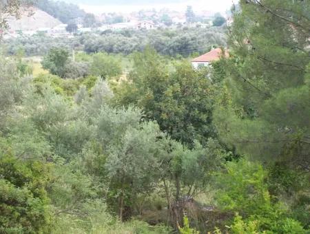 Grundstücke Zum Verkauf In Gocek, Gocek For Sale Mit Meerblick