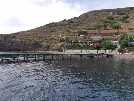 Benutzerdefinierte Dorf Am Meer Zu Verkaufen Villa Zum Verkauf In Osmanabad