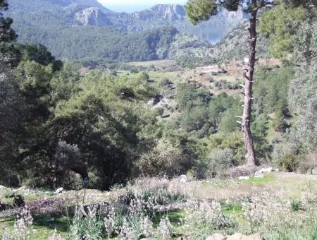 Landwirtschaftliche Grundstück Zum Verkauf Mit Meerblick Zum Verkauf In Gokbel