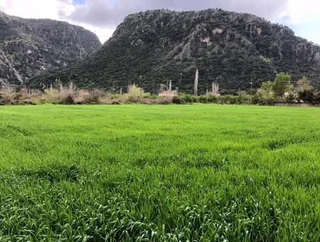 1500M2 Grundstück Zum Verkauf Zum Verkauf In Marmarli Archer