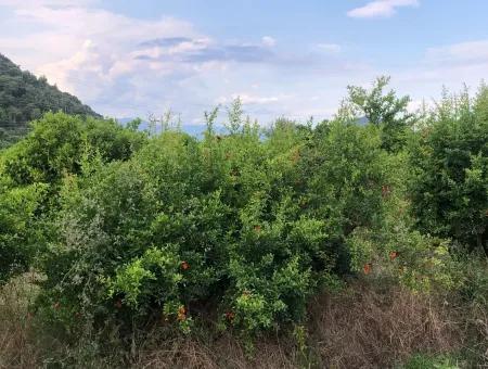 722M2 Grundstück Zum Verkauf In Dalyan Gülpınar Zum Verkauf