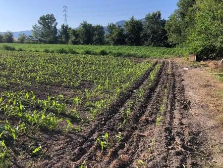 2200M2 Grundstück Zum Verkauf In Dalyan Zum Verkauf In Dalyan