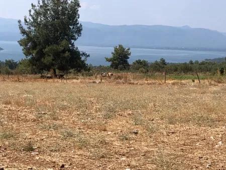 11.227M2 Grundstück Zum Verkauf Mit Seeblick In Köyceğiz Zeytinalan