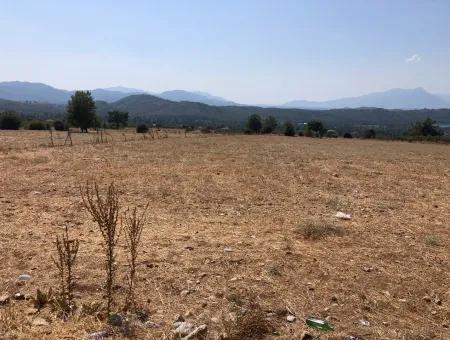 11.227M2 Grundstück Zum Verkauf Mit Seeblick In Köyceğiz Zeytinalan