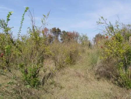 Güzelyurt Land Zu Verkaufen Dorf Gebaut 6670M2 Land Zum Verkauf