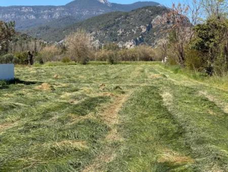 3700M2 Grundstück Zu Verkaufen In Dalyan