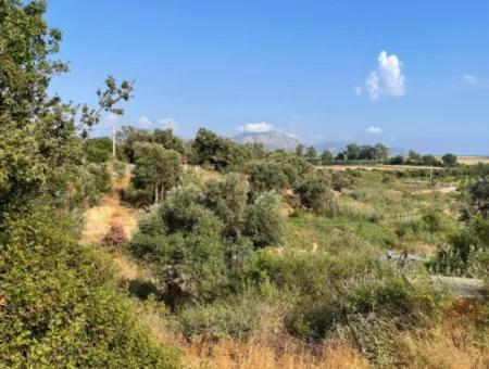 Land Zu Verkaufen In Fevziye 1858M2 Land Zum Verkauf Mit Voller Meerblick