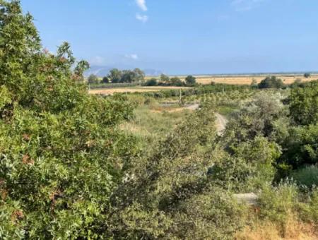 Land Zu Verkaufen In Fevziye 1858M2 Land Zum Verkauf Mit Voller Meerblick