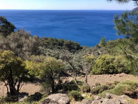 Grundstück Zum Verkauf Mit Meerblick In Çandir