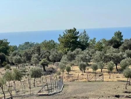 Feldgrundstück Zum Verkauf Mit Meerblick Von Çandir