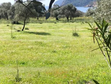 3250M2 Grundstück Zum Verkauf In Ekincik Mit Blick Auf Das Meer