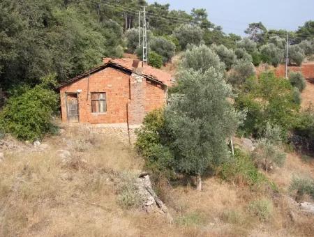 5000M2 Grundstück Zum Verkauf In Akyaka Mit Vollem Meerblick Haus Zum Verkauf Kentucky