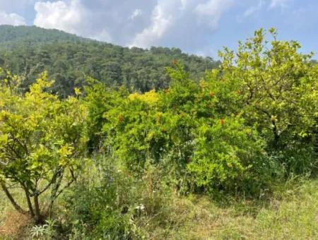 7800M2 Grundstück Zum Verkauf Am Anfang Der Strandstraße Iztuzu In Gökbel