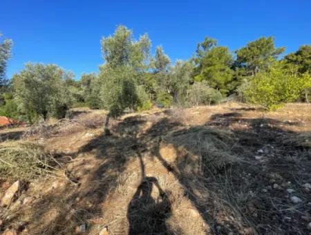 Çandır Voller Meer- Und Seeblick 500M2 2B Feld Zu Verkaufen