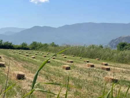 6.500 M2 Feld Zum Verkauf An Der Iztuzu-Straße In Dalyan