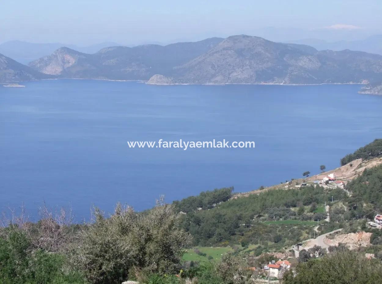 Land For Sale In Faralya With Full Sea View For Sale