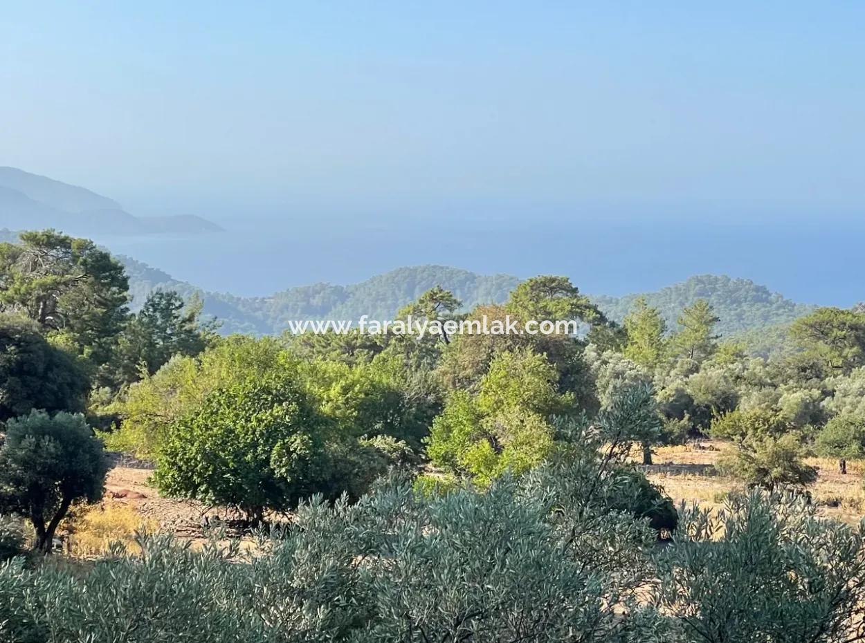 2620M2 Land Field For Sale With Sea View Of Çandir