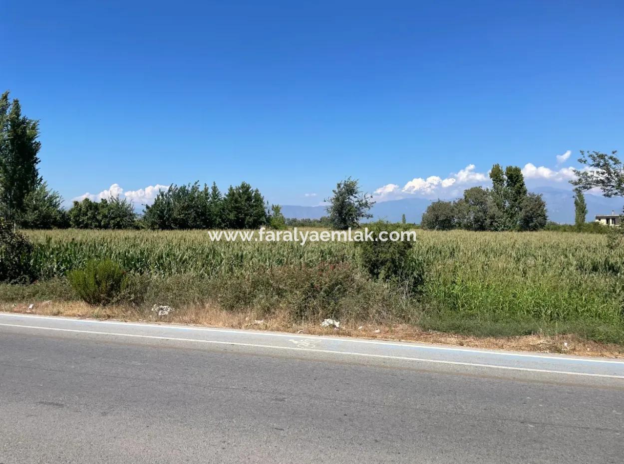 Dalyan Main Road Zero Land For Sale 8115M2 Commercial Land For Sale