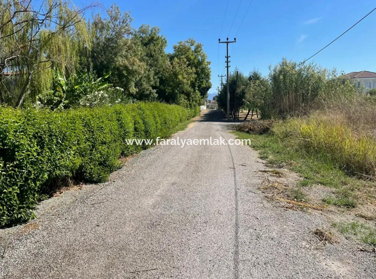 1000M2 Land For Sale In Dalyan Gülpinar Corner