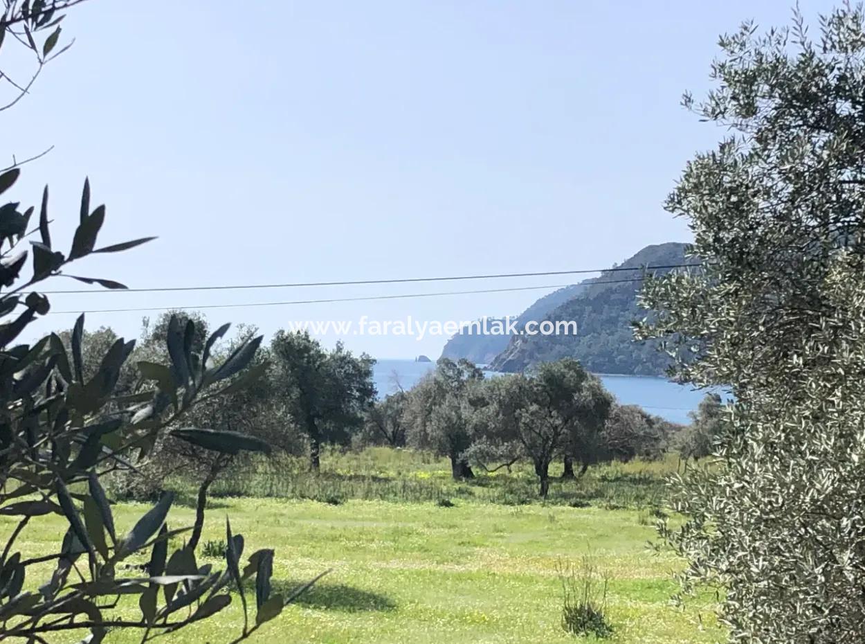 3250M2 Land For Sale In Ekincik With A View Near The Sea