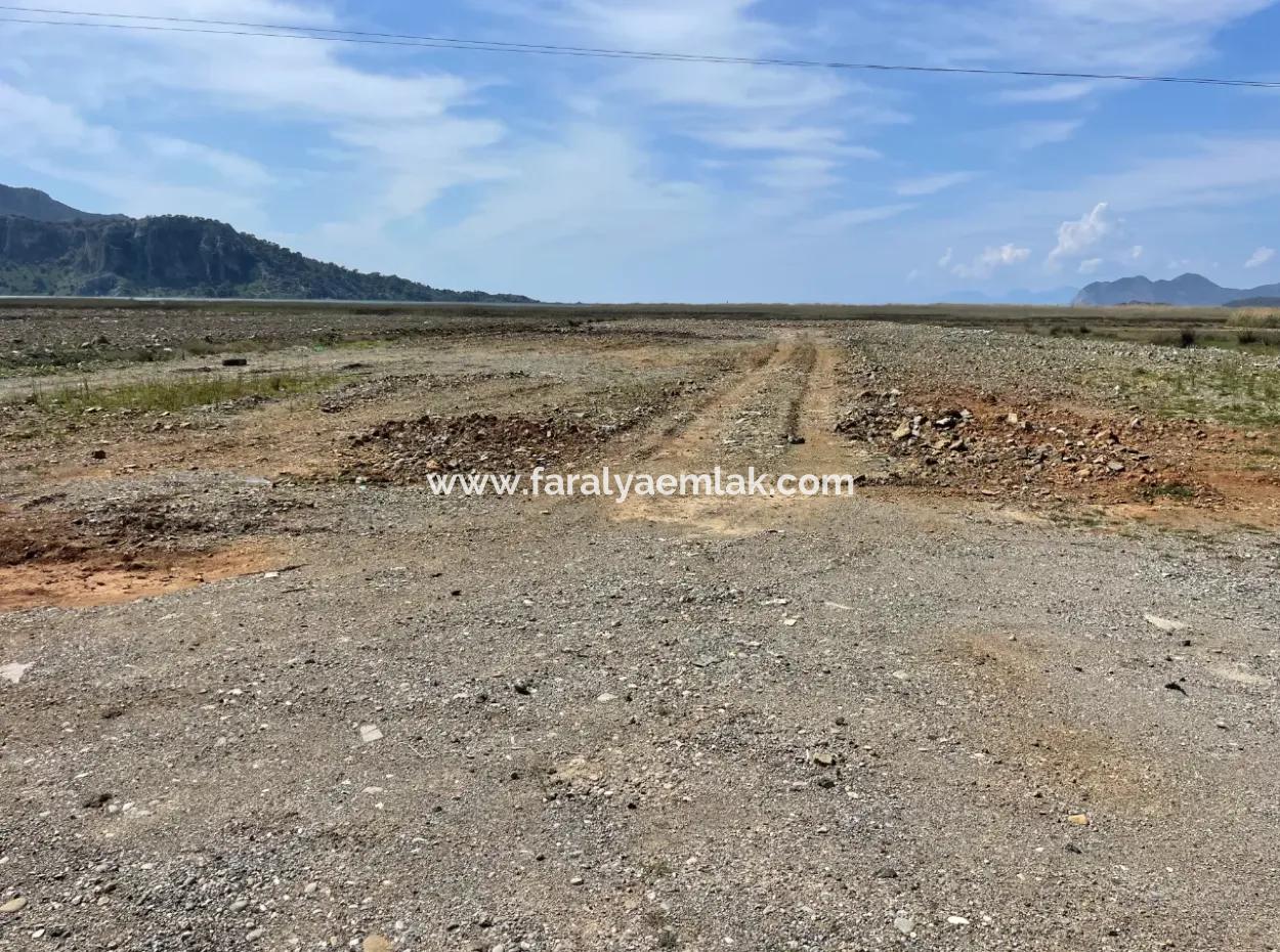 Dalyan Iztuzu Beach Road Zero 19,600M2 Field Land For Sale