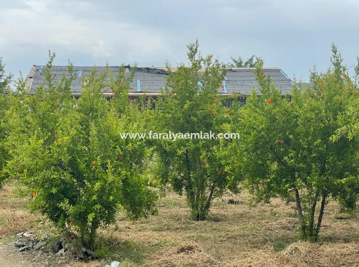 2,528M2 Field For Sale Near The Center Of Dalyan