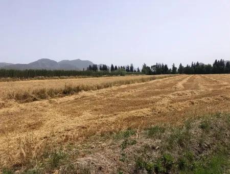 Farm Land For Sale 39 Acres In Eskikoy