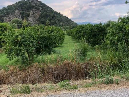 722M2 Plot For Sale In Dalyan Gülpınar For Sale