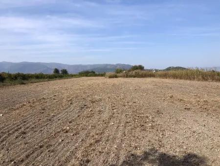 Land For Sale In Esköy 8500M2 Field Land For Sale