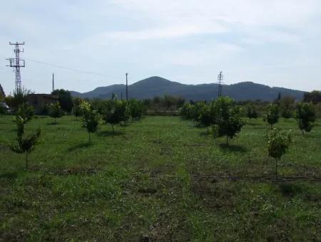 Güzelyurt Land For Sale Village Built 6670M2 Land For Sale