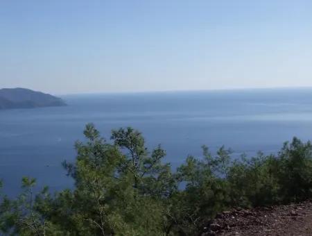 Real Estate Bargain Plot For Sale With Sea Views In Çandır Call In Ekincik