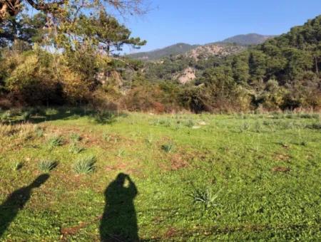 Ekincik Land For Sale 10,038M2 Land For Sale Field