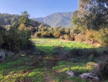 Ekincik Land For Sale 10,038M2 Land For Sale Field