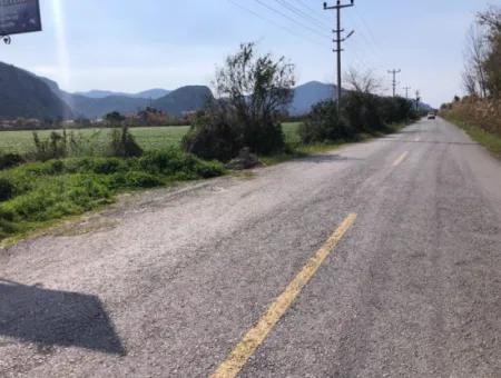 5500M2 Land For Sale In Dalyan