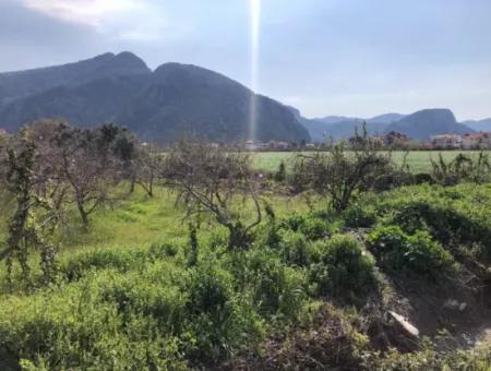 5500M2 Land For Sale In Dalyan