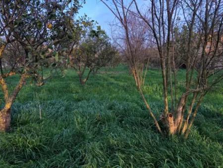 In Okçular Land For Sale 4707M2 Land For Sale