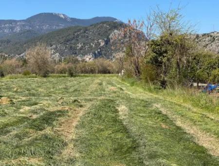 3700M2 Land For Sale In Dalyan