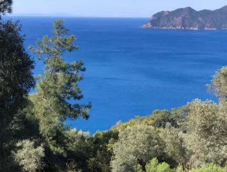 Land For Sale With Sea View In Çandir