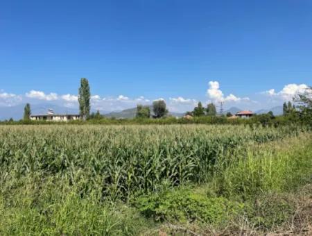 Dalyan Main Road Zero Land For Sale 8115M2 Commercial Land For Sale