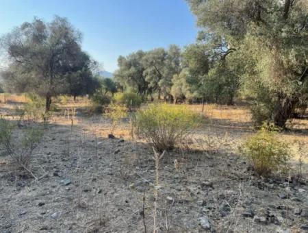 Çandir 3,800M2 Land For Sale