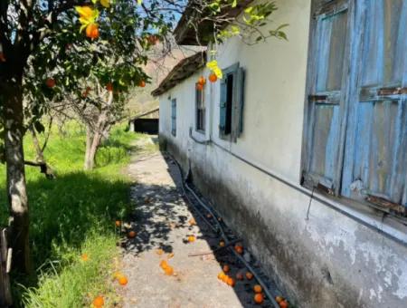 Village House For Sale In 1981M2 Plot In Sourliyurtda