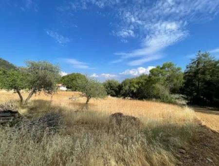 Land For Sale In Ula Armutchuk With 501M2 Zoning