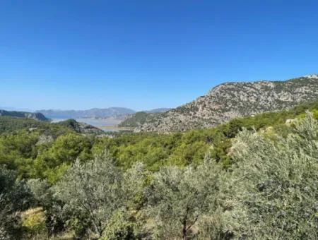 Gökbelde Full Sea View 3514M2 Land For Sale