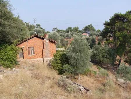 5000M2 Plot Of Land For Sale In Akyaka With Full Sea View House For Sale Kentucky