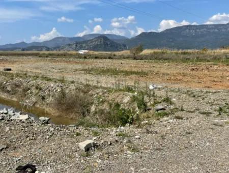 Dalyan Iztuzu Beach Road Zero 19,600M2 Field Land For Sale