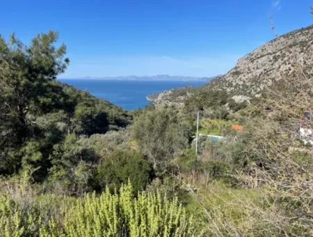 Village House For Sale In 4,400M2 Land With Full Sea View In Gökbel