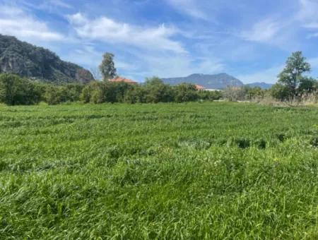 736M2 Land For Sale In Okçular